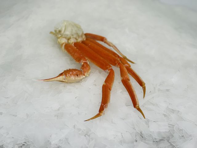 Large Snow Crab Legs