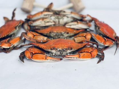 Steamed Jumbo Male Blue Crabs