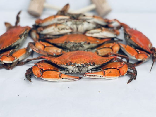 Steamed Jumbo Male Blue Crabs