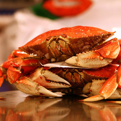 Whole-Cooked Jumbo Alaska Dungeness Crab