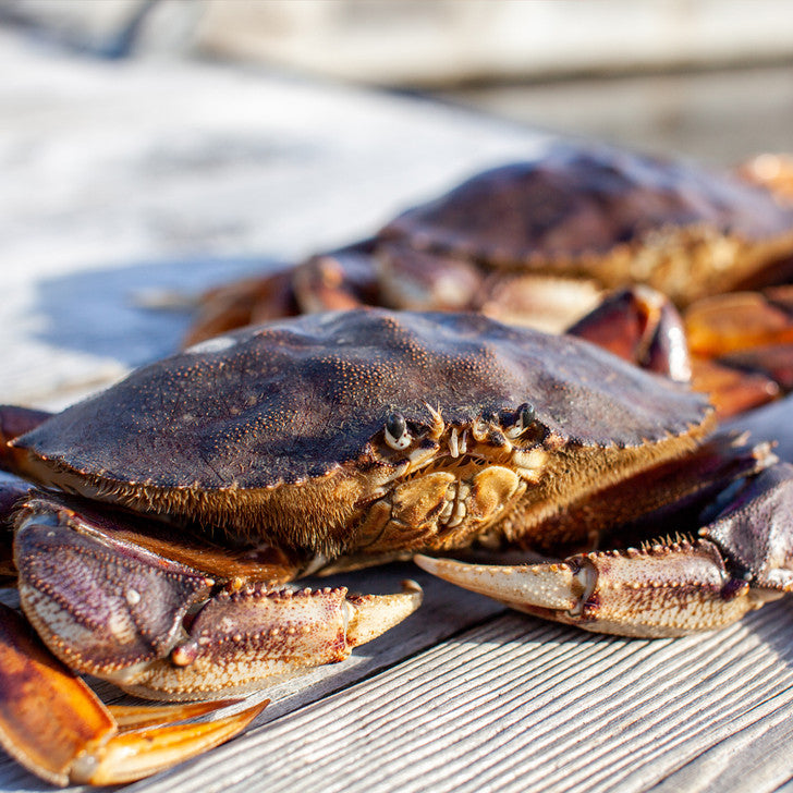 Whole-Cooked Jumbo Alaska Dungeness Crab